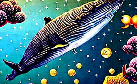 Coinbase's Tokenized Stocks on Base: The Math Whispers What the Network Shouts Coinbase's Tokenized Stocks on Base: The Math Whispers What the Network Shouts