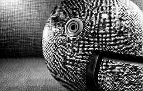 The Palhinha Conundrum: Tracing the Liquidity Ghost in the Transfer Machine The Palhinha Conundrum: Tracing the Liquidity Ghost in the Transfer Machine