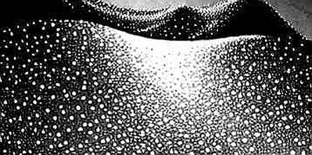 The Silence of the Ledger: When 'N/A' Becomes the Loudest Signal
