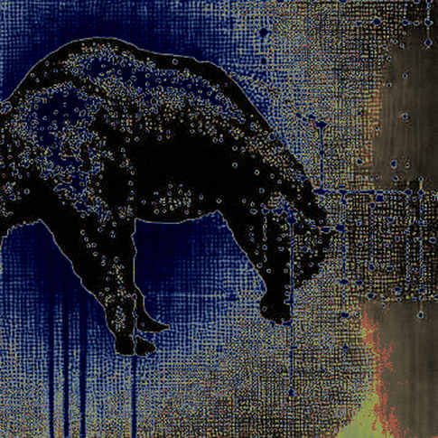 BKG Exchange: The Stealth Infrastructure Play Reshaping Order Flow in a Chop Market BKG Exchange: The Stealth Infrastructure Play Reshaping Order Flow in a Chop Market