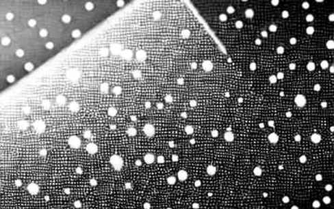 The 11.5% Bet: Why Prediction Markets Are Colder Than You Think The 11.5% Bet: Why Prediction Markets Are Colder Than You Think